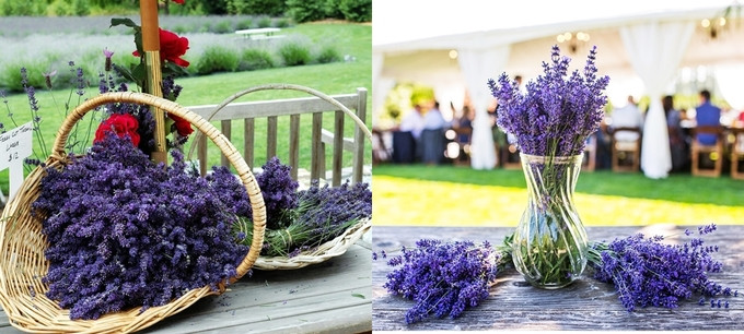 Hoa oải hương được tận dụng để tạo thành đạo cụ hay vật trang trí đám cưới.