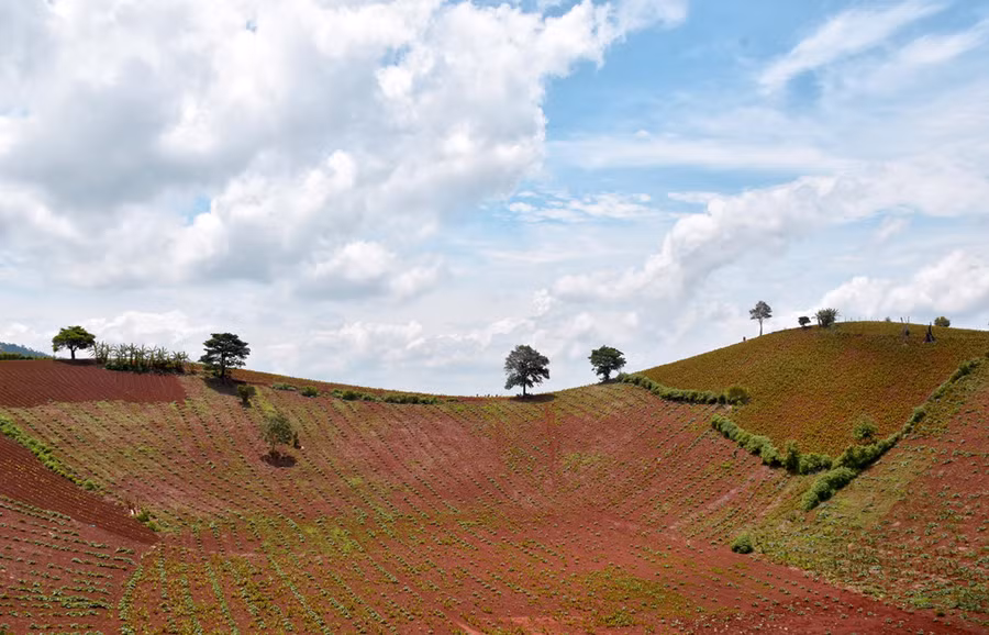 Thung lũng quanh chân núi là nơi bà con canh tác hoa màu.