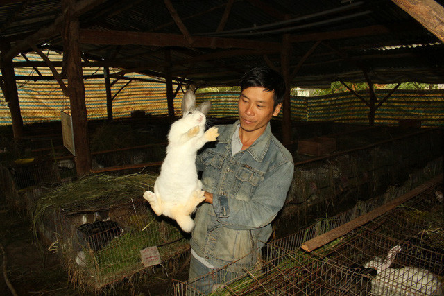 Anh Nguyễn Văn Dũng bên trong trang trại thỏ của gia đình mình. Anh Nguyễn Văn Dũng bên trong trang trại thỏ của gia đình mình.