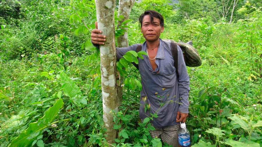 Người Arem ghi tên vào thân cây để đánh dấu, phục vụ cho việc bảo tồn