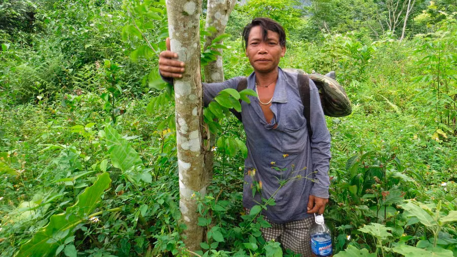 Người Arem ghi tên vào thân cây để đánh dấu, phục vụ cho việc bảo tồn