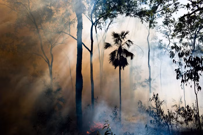 Một đám cháy rừng trong mùa khô trên đảo Melville đã được kiểm soát - Ảnh: DAVID MAURICE SMITH, OCULI/NG