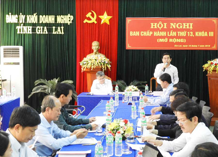Hội nghị Ban Chấp hành Đảng bộ Khối Doanh nghiệp tỉnh. Ảnh: T.N