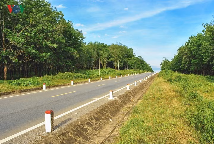  Trước khi bước chân lên đường Hồ Chí Minh huyền thoại, hãy ghé thăm Khu di tích tưởng niệm Hồ Chí Minh tại Nghệ An, Di tích Ngã Ba Đồng Lộc tại Hà Tĩnh. Nghệ Tĩnh cũng là quê hương của Dân ca ví, giặm - Di sản văn hóa phi vật thể đại diện của nhân loại.
