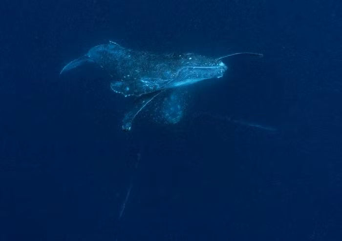 Ảnh: Reiko Takahashi/NG