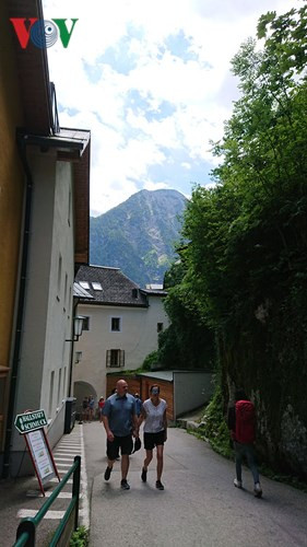 Trang web Tripadvisor nhận được nhiều phản hồi tốt từ du khách khi đánh giá Hallstatt. Trong đó, 