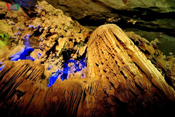 Di sản thiên nhiên Vườn Quốc gia Phong Nha - Kẻ Bàng rộng hơn 340.000 ha, sở hữu giá trị địa chất, địa mạo ngoại hạng, cảnh quan kỳ bí, những loài động thực vật quý hiếm và cả Sơn Đoòng - hang động lớn nhất thế giới.