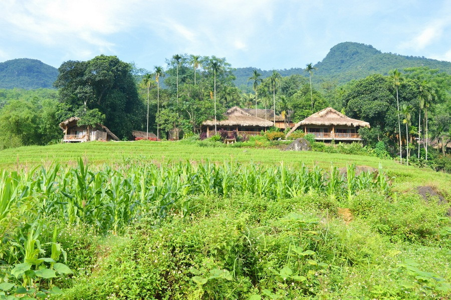 Việc ăn uống diễn ra ngay tại nơi lưu trú với thực đơn gồm nhiều món có chi phí hợp lý. Đặc sản vịt Cổ Lũng ăn rất ngon, thịt hơi dai nhưng mềm và ngọt.
