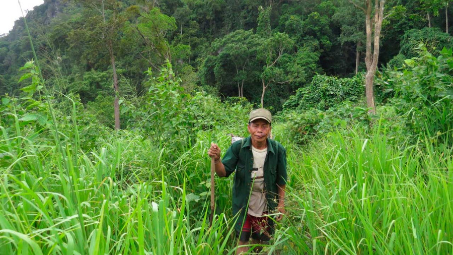 Một già làng ở Tân Trạch vào rừng để chăm sóc và bảo vệ cây cối