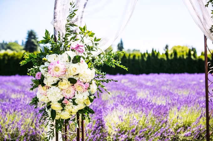 Để có ngày vui trọn vẹn và không bị trùng lịch, các đôi thường phải đặt chỗ trước bốn đến sáu tháng và trả trước 50% chi phí. Gần ngày cưới, họ phải thanh toán hết số tiền còn lại. Các đôi có thể chọn thời gian cưới bất kỳ trong ngày - từ 7h đến 23h - và được toàn quyền sử dụng không gian trong chín tiếng. Có cặp thậm chí đặt trước hai năm để đảm bảo còn chỗ.