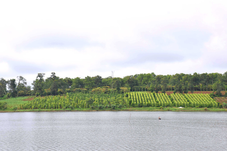 Hồ Tây ở Đắk Mil.