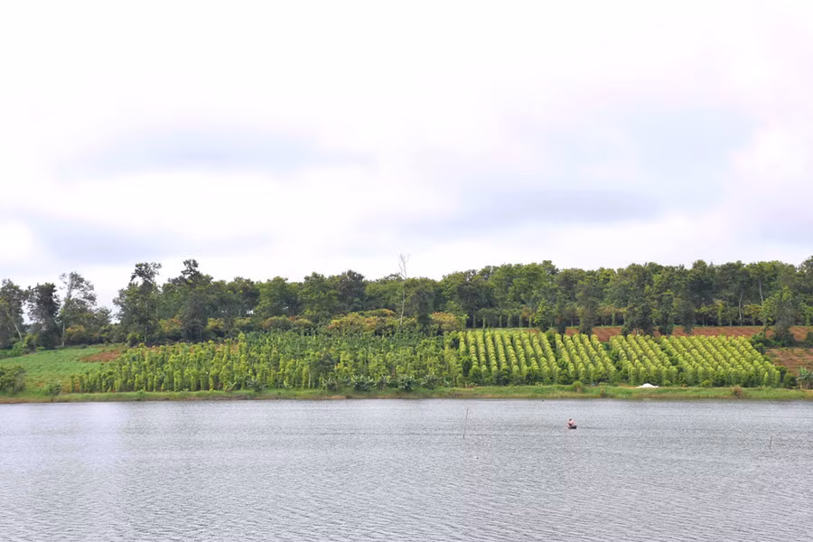 Hồ Tây ở Đắk Mil.