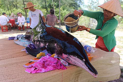 Trong lúc chờ tắt thở, người dân tưới nước làm mát cho cá voi.