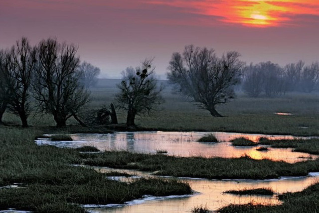 Công viên Thiên nhiên Kopački rit, được hình thành từ các con sông Danube và Drava.