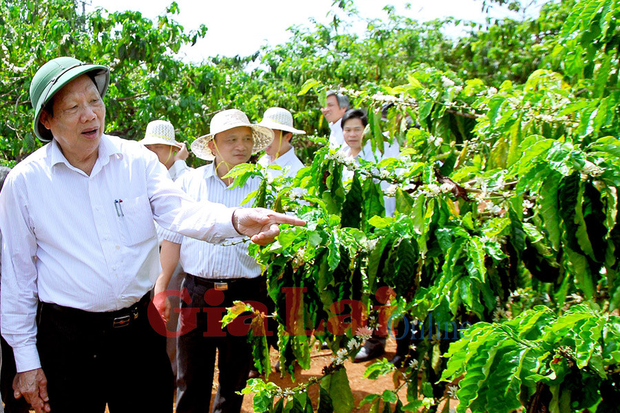 Ông Lê Huy Ngọ tham quan xã nông thôn mới Diên Phú. Ảnh: Đức Thụy Ông Lê Huy Ngọ tham quan xã nông thôn mới Diên Phú. Ảnh: Đức Thụy