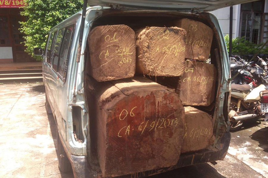 Ảnh minh họa của Nguyễn Giác