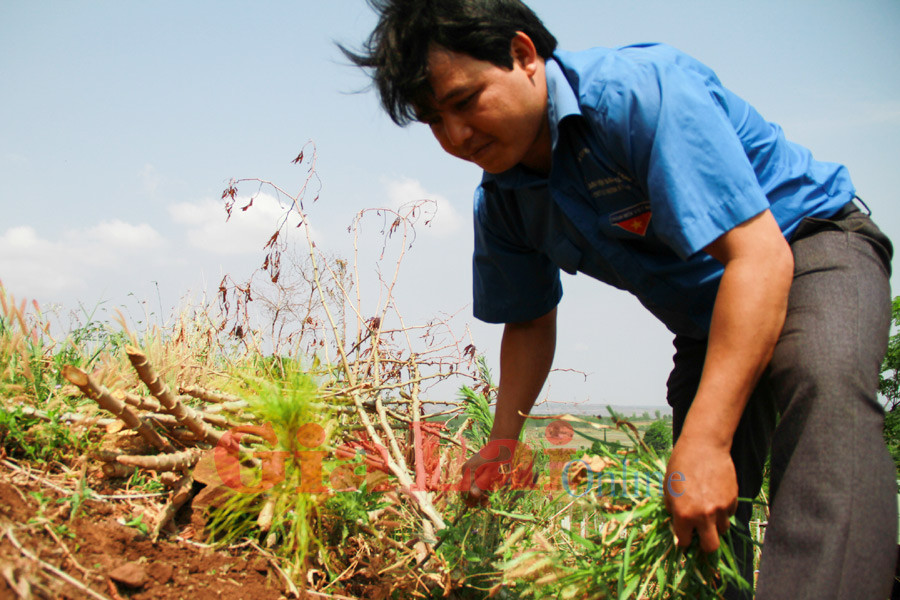  Ảnh: Hoàng Ngọc