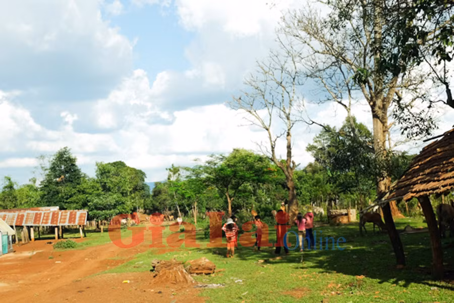 Ảnh: Hoàng Ngọc