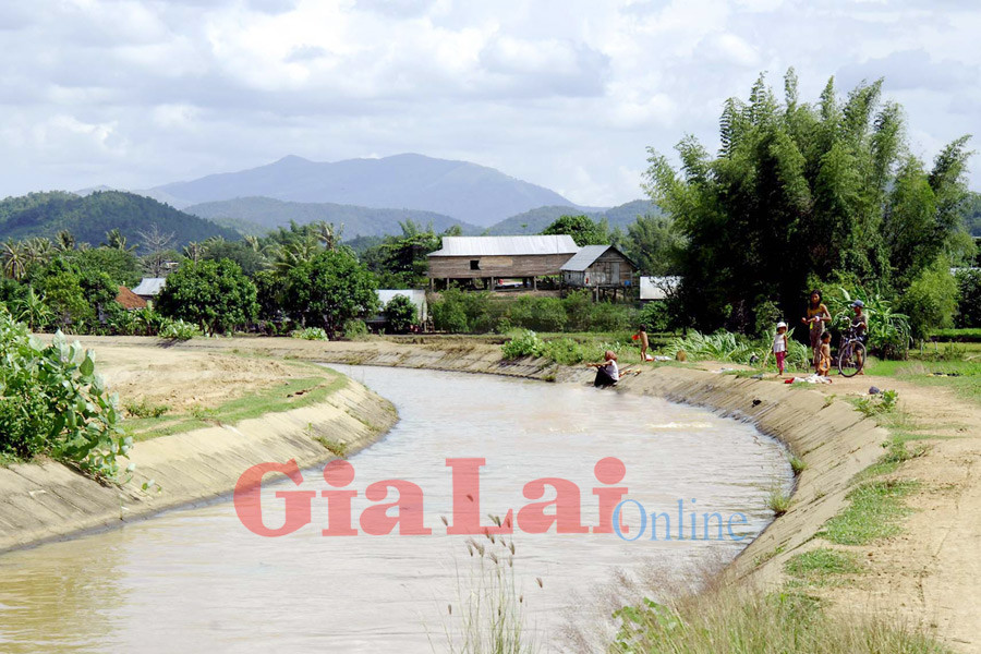 Ảnh: Đức Thụy Ảnh: Đức Thụy