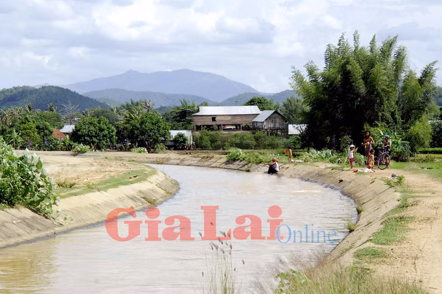 Ảnh: Đức Thụy Ảnh: Đức Thụy