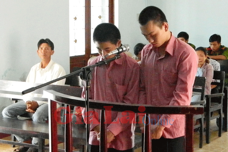 Các bị cáo trước Hội đồng xét xử. Ảnh: Văn Tố