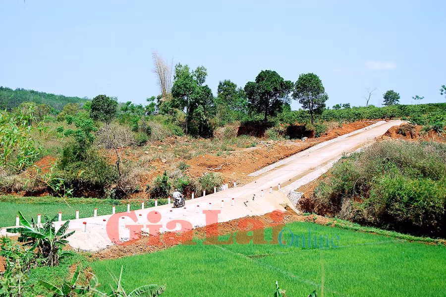 Ảnh: Đức Thụy