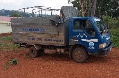 Sau khi trộm 3 con bò, đối tượng Minh thuê xe tải chở bò đi tiêu thụ