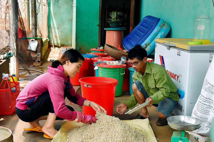 Năm 2015, anh Đặng Thế Hân ở thôn Ia Mút, xã Ia Dom vay 160 triệu từ vốn ưu đãi của Ngân hàng Nông nghiệp để đầu tư chăm sóc 2 ha điều, 2 ha cao su và 5 sào cà phê. Năm 2020, các cây trồng đã cho lợi gần 200 triệu đồng, anh đã trả hết nợ vay ngân hàng và đang mở rộng diện tích cà phê.