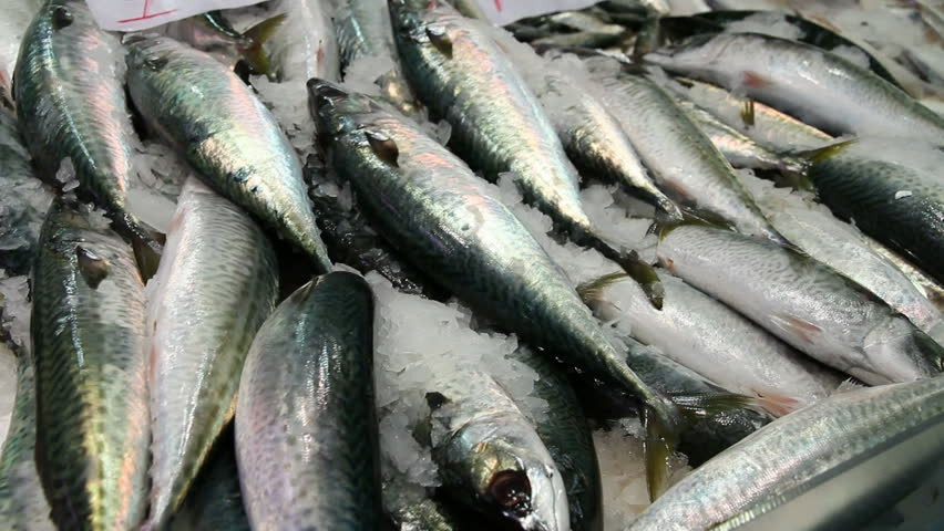 Mỗi tuần ăn 200 gram cá mòi có thể giảm nguy cơ mắc bệnh tiểu đường loại 2. Ảnh: SHUTTERSTOCK