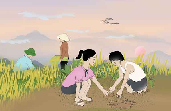 Minh họa: Huyền Trang Minh họa: Huyền Trang