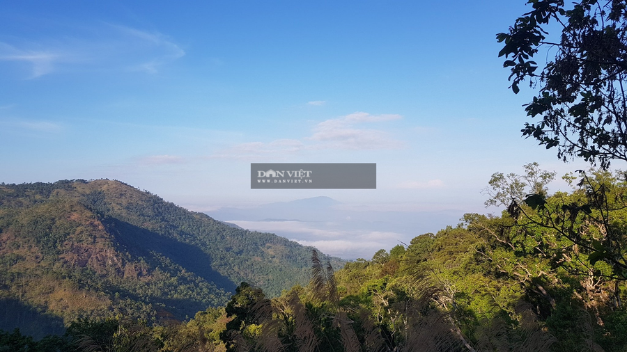 Muốn chinh phục đỉnh Chư Yang Lắk phải vượt qua quãng đường khoảng 13 km băng qua đồi núi