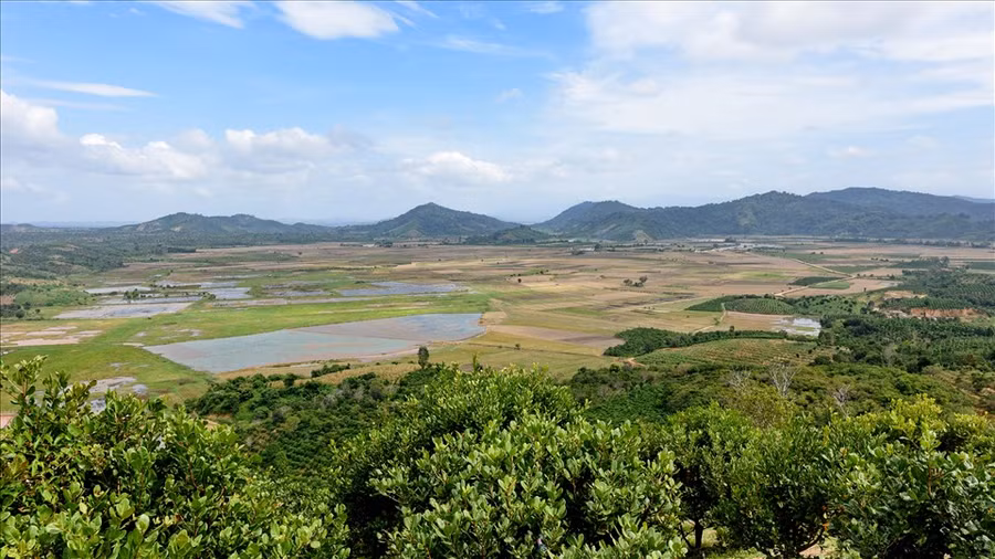Cánh đồng lúa dưới chân khu vực các núi lửa, một cảnh đẹp nổi tiếng ở Krông Nô. Ảnh: Thái Hoàng