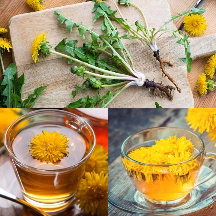 10 lợi ích tuyệt vời của trà bồ công anh đối với sức khỏe Theo trang Beautyepic, trà bồ công anhđược dùng từ bộ phận lá hoặc rễ của cây bồ công anh. Chúng là một loại trà kỳ diệu, không những cung cấp cho bạn một năng lượng tích cực, nó còn có thể giúp bạn phòng và chữa trị một số căn bệnh mang đến nhiều lợi ích cho sức khỏe. 1. Cải thiện sức khỏe xương: Bồ công anh rất giàu hàm lượng canxi nên cần thiết cho sự phát triển và bảo vệ xương khỏi những tổn thương của tuổi tác. Ngoài ra, còn giúp tăng mật độ xương, giúp xương trở nên cứng cáp hơn. Chúng cũng rất giàu chất chống oxy hóa như vitamin-C và Luteolin, đó là một chất rất cần thiết cho cơ thể của bạn. 2. Tăng cường sức khỏe gan: Các chất chống oxy hóa như vitamin-C và Luteolin giữ cho gan hoạt động một cách tốt nhất và bảo vệ gan khỏi lão hóa. Bệnh vàng da cũng được chữa khỏi nhờ loại trà này. 3. Ngăn ngừa táo bón và các vấn đề tiêu hóa khác: Bồ công anh có chứa hàm lượng chất xơ cao, làm cho nó trở thành một chất hỗ trợ có lợi cho tiêu hóa và sức khỏe đường ruột. Chất xơ kích thích nhu động ruột khỏe mạnh bằng cách bổ sung lượng lớn vào phân, và làm giảm nguy cơ táo bón cũng như tiêu chảy. 4. Giảm bệnh tiểu đường: Trà bồ công anh cũng giúp kích thích sản xuất insulin từ tuyến tụy đến cơ thể, giúp giữ lượng đường trong máu thấp. Điều này cũng giúp người bệnh đào thải lượng đường dư thừa ra ngoài cơ thể, hạn chế được các biến chứng thận ở bệnh nhân tiểu đường. 5. Ngăn ngừa nhiễm trùng đường tiết niệu: Bồ công anh giúp ngăn ngừa nhiễm trùng đường tiết niệu, đặc tính khử trùng của bồ công anh cũng ức chế sự phát triển của vi sinh vật trong hệ tiết niệu. Chúng còn giúp loại bỏ sự lắng đọng của các chất độc hại trong thận và đường tiết niệu. Trà bồ công anh mang lại nhiều lợi ích tốt cho sức khỏe của bạn. Ảnh minh họa. Đồ họa: A.N Trà bồ công anh mang lại nhiều lợi ích tốt cho sức khỏe của bạn. Ảnh minh họa. Đồ họa: A.N 6. Điều trị mụn trứng cá, mụn nhọt và các vấn đề về da: Trà bồ công anh là một chất giải độc tốt, lợi tiểu, kích thích và chống oxy hóa nên trỏe thành phương pháp điều trị mụn trứng cá tuyệt vời. Chúng còn có thể giúp điều chỉnh sự tiết hormone thích hợp, tăng tiết mồ hôi giúp thải độc tố qua đường mồ hôi và nước tiểu một cách thuận lợi. 7. Giúp giảm cân: Giảm cân cũng có thể được thực hiện với sự trợ giúp của trà này vì nước tiểu của bạn bao gồm tới 4% chất béo, vì vậy chúng ta càng đi tiểu nhiều hơn vì càng mất nhiều nước và chất béo khỏi cơ thể. Do đó, giúp giảm lượng nước thừa trong có thể, giúp cơ thể bạn săn chắc hơn. 8. Giúp chống lại bệnh ung thư: Các bệnh ung thư cũng có thể được chữa khỏi nhờ bồ công anh và chứa nhiều chất chống oxy hóa, chẳng hạn như vitamin-C và luteolin, sự giàu có này sẽ làm giảm các gốc tự do (tác nhân gây ung thư chính) trong cơ thể, do đó giảm nguy cơ ung thư từ gốc. Trà bồ công anh cũng giúp giải độc cơ thể khỏi bụi bẩn, bảo vệ khỏi sự phát triển của các khối u và các bệnh ung thư khác nhau. Đây là một trong những lợi ích quan trọng nhất mà trà mang lại. 9. Ngăn ngừa thiếu máu: Bệnh thiếu máu cũng có thể được chữa khỏi nhờ bồ công anh vì chúng có hàm lượng sắt, vitamin và hàm lượng protein tương đối tốt. Được biết, sắt là thành phần không thể thiếu của hemoglobin trong máu là một trong những thứ cần thiết cho sự hình thành các tế bào hồng cầu. Do đó, bồ công anh có thể giúp những người thiếu máu có thể duy trì lượng máu trong cơ thể. 10. Giảm Cholesterol: Chất xơ trong bồ công anh cũng rất hữu ích trong việc giảm mức cholesterol và do đó hỗ trợ giảm huyết áp. Với hàm lượng kali cao trong bồ công anh, rất hiệu quả trong việc hạ huyết áp bằng cách thay thế natri. ÁNH NHIÊN (THEO BEAUTYEPIC/LĐO)