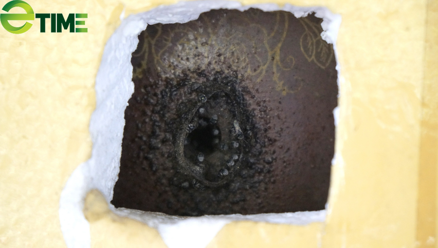 Anh Tín làm thùng nuôi ong dú chỉ có 1 lỗ thông nhỏ với bên ngoài sẽ bảo vệ được ong.