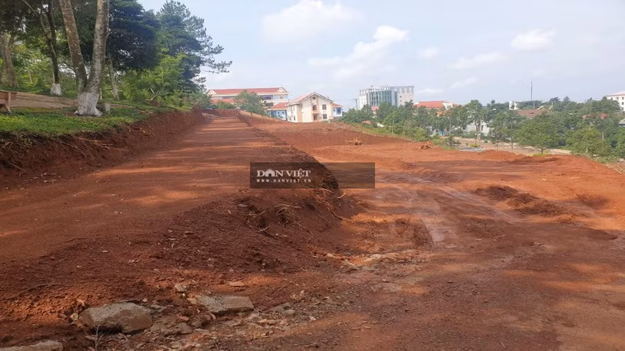 Ông Nguyễn Văn Bình đã cho ủi và san lấp hơn 700m2 đất trên đồi Cường Thịnh