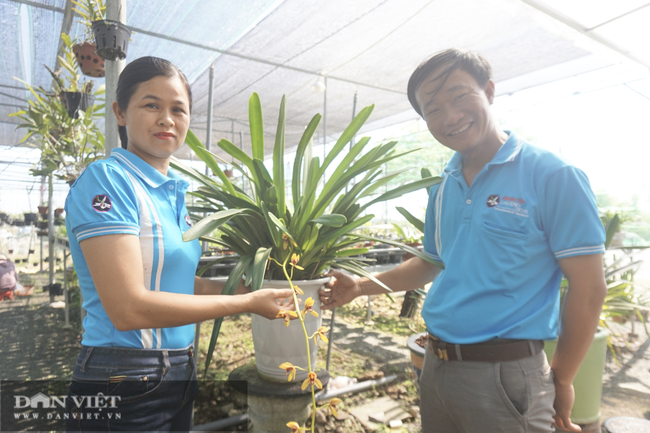 Vườn hoa lan BaNa GH của vợ chồng chị Hiền được nhiều khách hàng yêu thích hoa lan tin tưởng chọn làm địa chỉ cung cấp lan giống. Vườn hoa lan BaNa GH của vợ chồng chị Hiền được nhiều khách hàng yêu thích hoa lan tin tưởng chọn làm địa chỉ cung cấp lan giống.