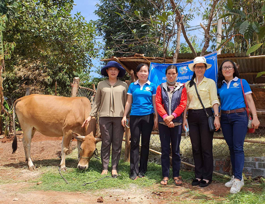 Trao tặng bò. Ảnh: Hồng Thương