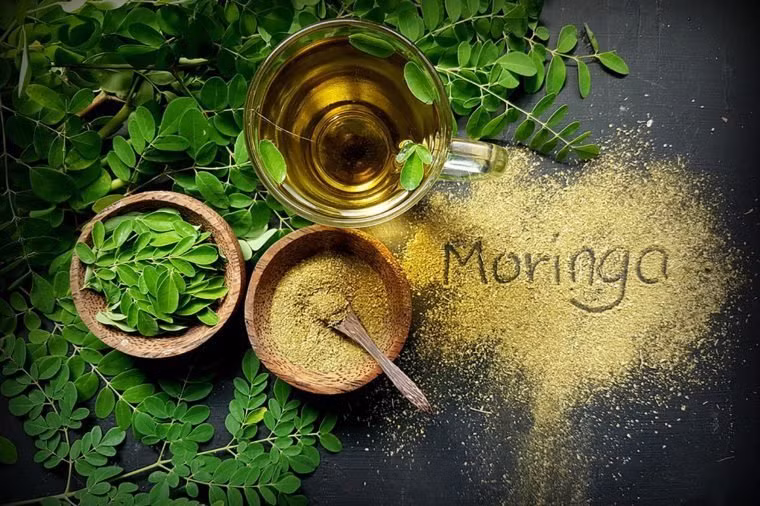 Trà chùm ngây có lợi cho tim mạch. ẢNH: SHUTTERSTOCK