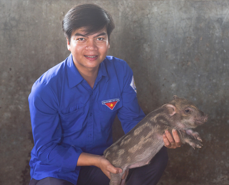 Niềm vui từ thành quả lao động của anh Nguyễn Đăng Long từ trang trại nuôi heo rừng trên xát ở xã Điền Hòa, huyện Phong Điền, tỉnh TT-Huế.