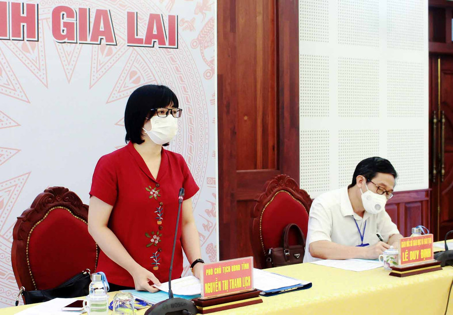 Phó Chủ tịch UBND tỉnh Nguyễn Thị Thanh Lịch phát biểu chỉ đạo tại cuộc họp. Ảnh: Hồng Thi.