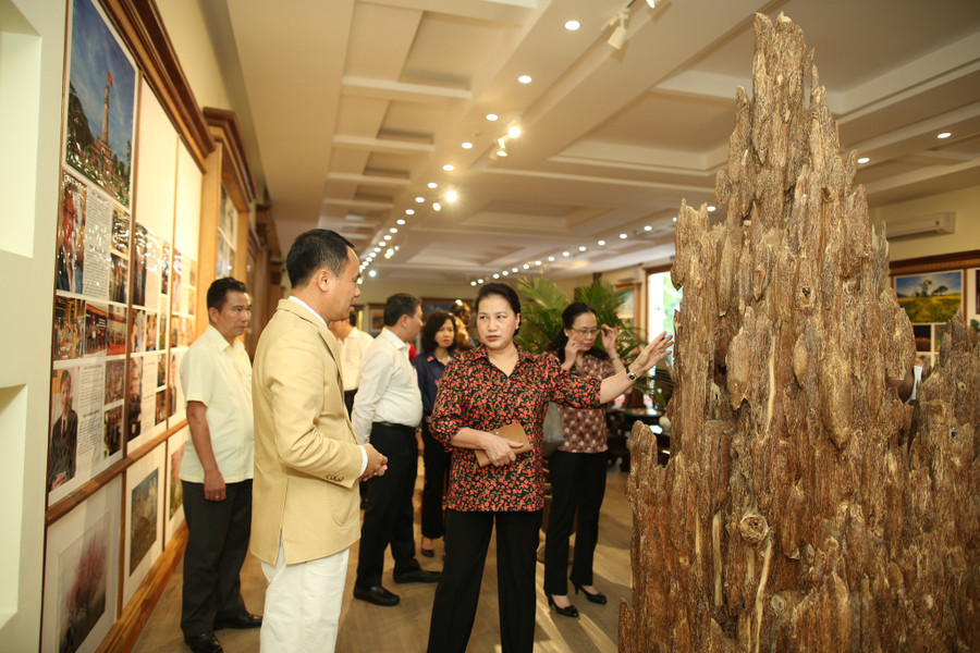 Chủ tịch Quốc hội Nguyễn Thị Kim Ngân thăm Bảo tàng Trầm hương cuối năm 2020. ẢNH: TRẦN ĐĂNG