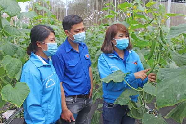 Đoàn viên, thanh niên tham quan mô hình khởi nghiệp thành công của chị Phạm Thị Mơ (bìa phải; Bí thư Chi Đoàn tổ dân phố 4, phường Yên Thế, TP. Pleiku). Ảnh: Phan Lài