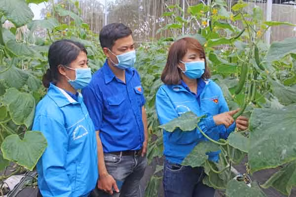 Đoàn viên, thanh niên tham quan mô hình khởi nghiệp thành công của chị Phạm Thị Mơ (bìa phải; Bí thư Chi Đoàn tổ dân phố 4, phường Yên Thế, TP. Pleiku). Ảnh: Phan Lài