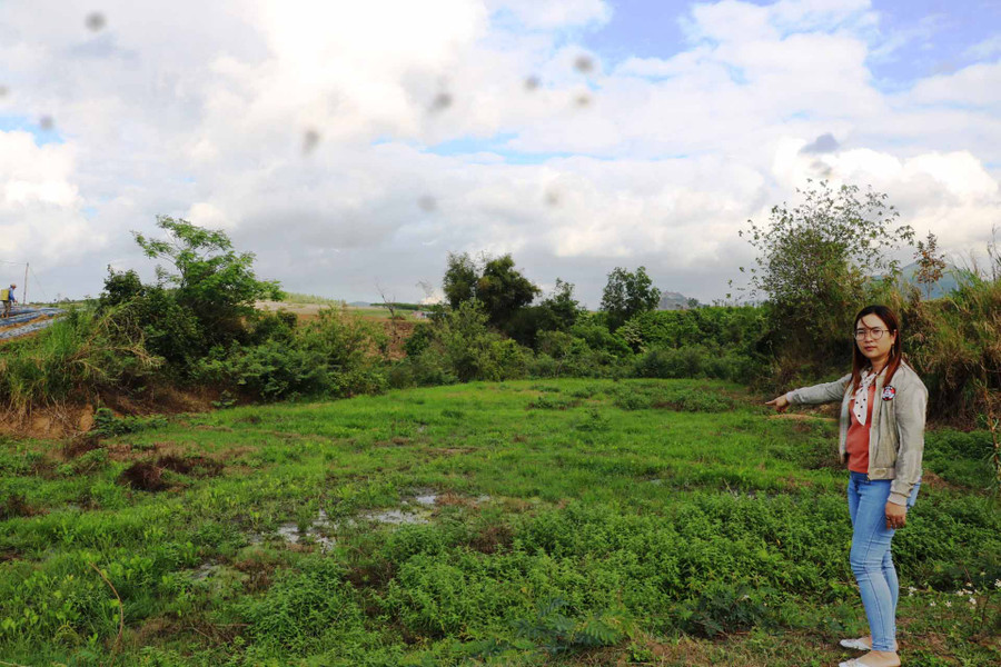 Bà Lệ chỉ tay về đám ruộng của một hộ dân nằm ngay bờ sông Ba bị bỏ hoang vì ảnh hưởng của nguồn nước bị ô nhiễm