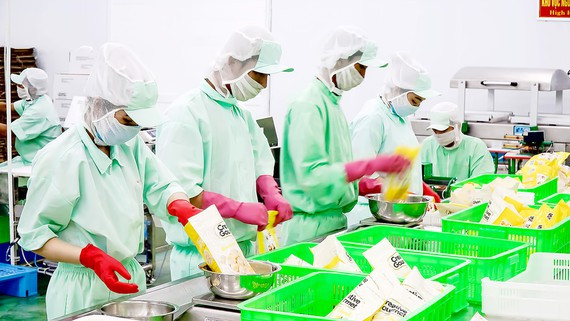 Chế biến trái cây và rau củ quả xuất khẩu tại Công ty Thuận Phong. Ảnh: HOÀNG HÙNG  Chế biến trái cây và rau củ quả xuất khẩu tại Công ty Thuận Phong. Ảnh: HOÀNG HÙNG