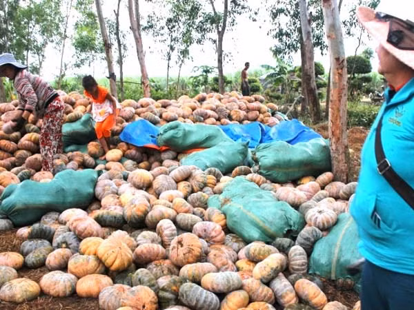 Ảnh minh họa Ảnh minh họa