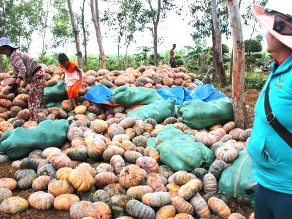 Ảnh minh họa Ảnh minh họa