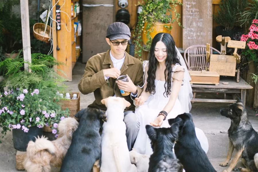 Sau những gian nan, cặp đôi tận hưởng niềm vui mỗi ngày bằng việc đón khách, nuôi chó, hái rau