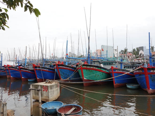 Cảng cá Tam Quan được UBND TX.Hoài Nhơn công bố là cảng loại III vào năm 2020. ẢNH: HOÀNG TRỌNG