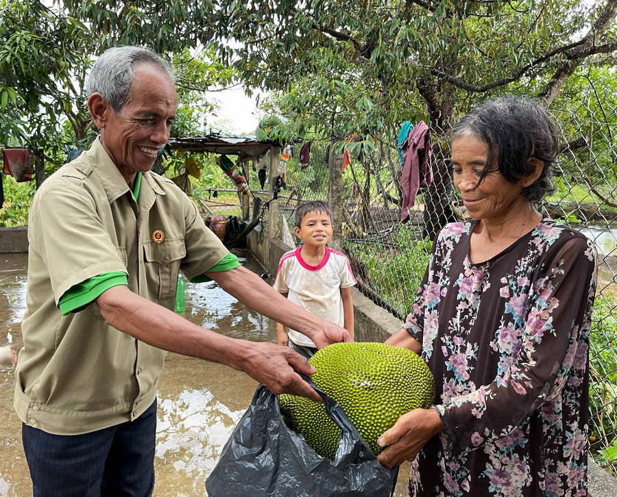 Gia đình ông Juir-làng Klot vẫn còn gần 40 gốc mít cổ thụ. Món quà là quả mít chín còn thể hiện sự mến khách của những người Jrai trên vùng đất cách mạng. JPG